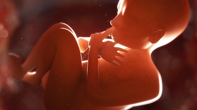 Nước ối cạn bao nhiêu thì phải mổ? Giới hạn nguy hiểm mẹ bầu cần biết