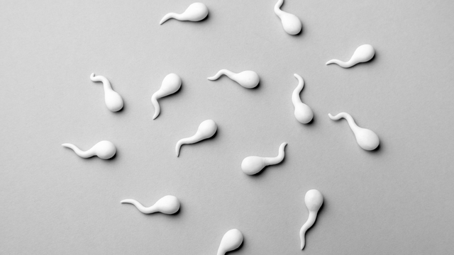 Nuốt tinh trùng có bị chậm kinh không? Những yếu tố nguy cơ gây chậm kinh