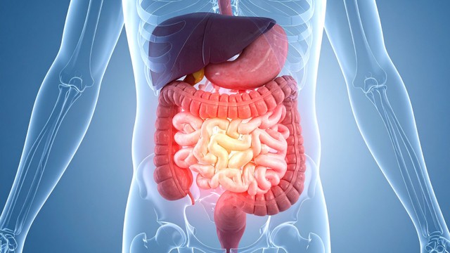 Quy trình phẫu thuật cắt đại tràng và hướng dẫn phục hồi an toàn