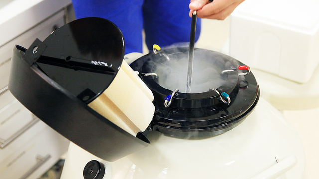 Phôi trữ đông có sàng lọc được bất thường di truyền không?