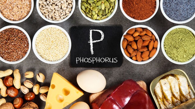 Phospho là gì? Thực phẩm giàu phospho và cách bổ sung an toàn