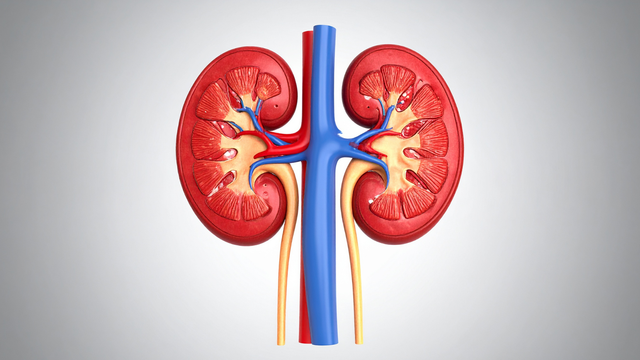 Phù mặt do suy thận là gì? Dấu hiệu cảnh báo và cách nhận biết sớm