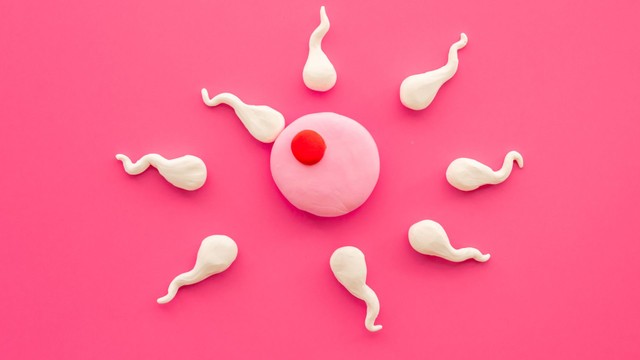 Quá trình thụ thai diễn ra như thế nào và trong bao lâu?