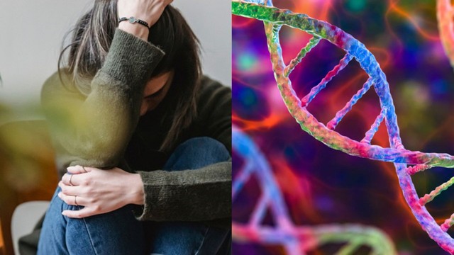 Rối loạn lo âu có di truyền không? Mối liên hệ giữa gen và sức khỏe tâm thần