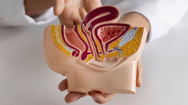 Sa trực tràng và trĩ​: Điểm giống và khác nhau