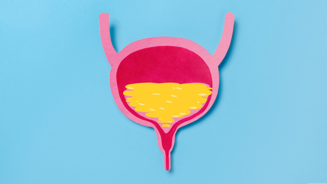 Sỏi niệu quản có nguy hiểm không​? Nguyên nhân và yếu tố nguy cơ hình thành sỏi niệu quản