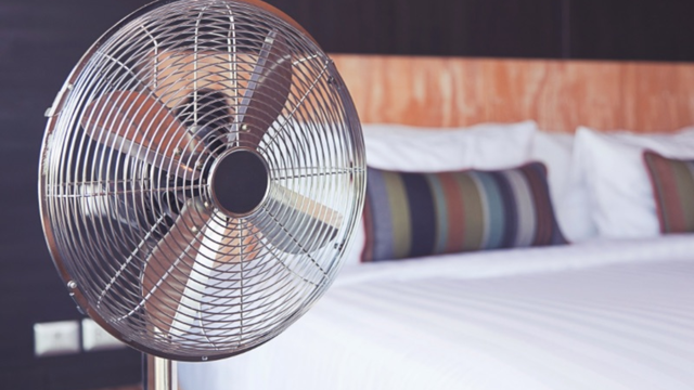 Sốt phát ban có được nằm quạt không? Hướng dẫn chăm sóc đúng cách 