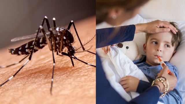 Sốt xuất huyết và sốt siêu vi: Phân biệt, so sánh và phòng ngừa