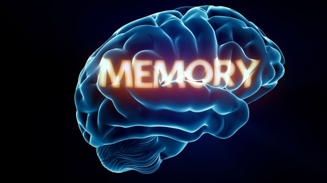 Suy giảm trí nhớ ngắn hạn: Nguyên nhân, dấu hiệu và cách phòng ngừa