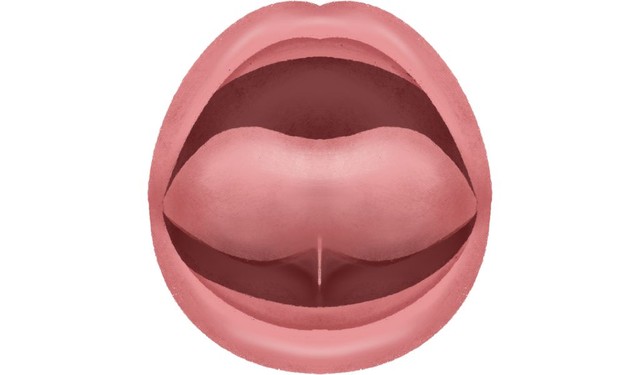 Trẻ bị dính thắng lưỡi có nói được không? Cha mẹ cần phải làm gì?