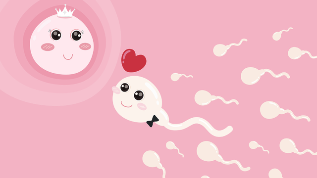 Thắt ống dẫn tinh có xuất được không?