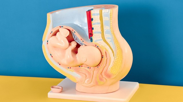 Thiểu ối là gì? Dấu hiệu nhận biết và cách xử lý an toàn