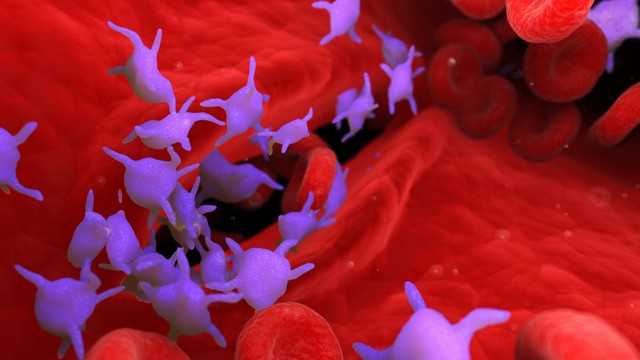 Tiểu cầu giảm còn 90 có nguy hiểm không? Cách xử trí