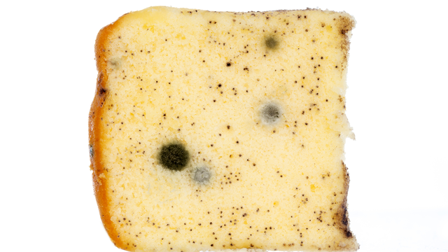 Triệu chứng ngộ độc nấm mốc​ cần đi khám ngay