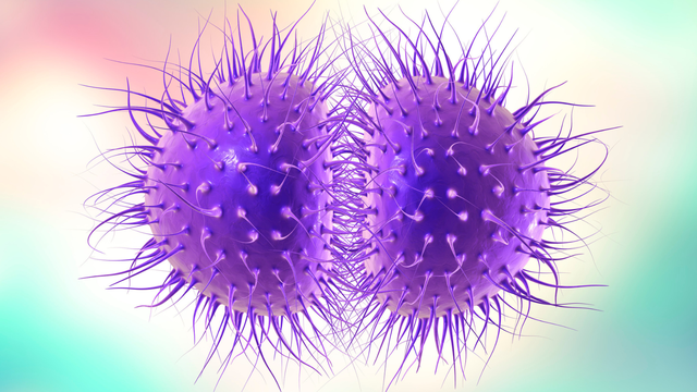 Nhiễm lậu cầu là gì? Triệu chứng và những biến chứng có thể gặp phải