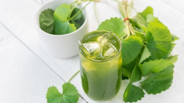 Uống rau má mỗi ngày có tốt không? Có tác dụng gì?