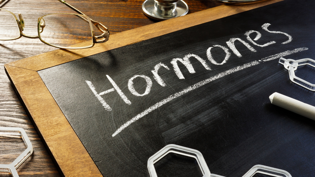 Vai trò của hormone và các loại hormone trong cơ thể người