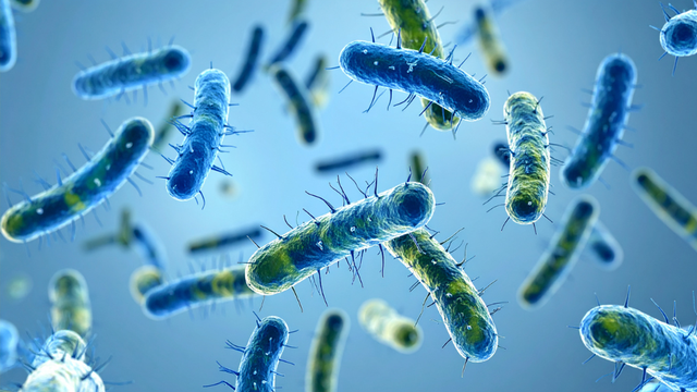 Vi khuẩn kỵ khí là gì? Hiểu đúng để phòng ngừa và điều trị hiệu quả