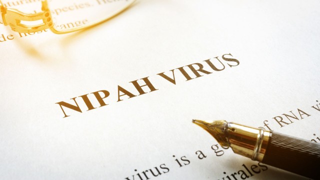 Vì sao đến nay vẫn chưa có vắc xin virus Nipah?