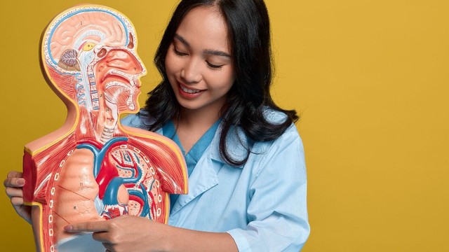 Viêm đường hô hấp trên và dưới: Sự khác biệt và nguyên nhân gây bệnh