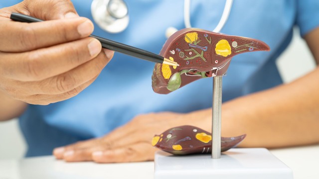 Viêm gan cấp tính có lây không? Nguyên nhân, đường truyền và cách phòng ngừa