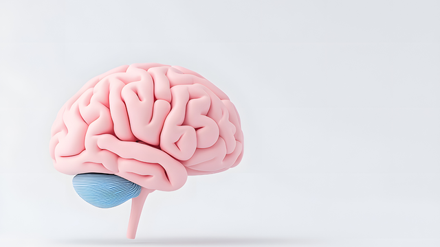 Viêm màng não mô cầu ở trẻ em có chữa được không? Điều cha mẹ cần biết sớm