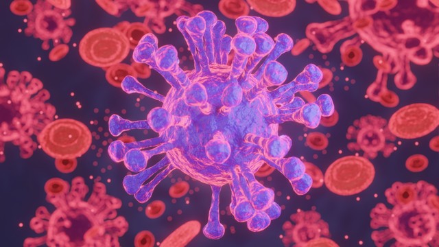 Virus HIV sống được bao lâu ngoài môi trường? 