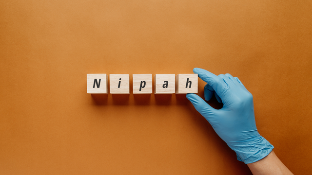 Virus Nipah Ấn Độ: Nguy cơ bùng phát dịch bệnh mới toàn cầu