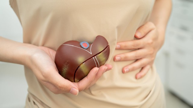 Vùng rốn gan là gì? Cấu trúc, vai trò và ý nghĩa lâm sàng