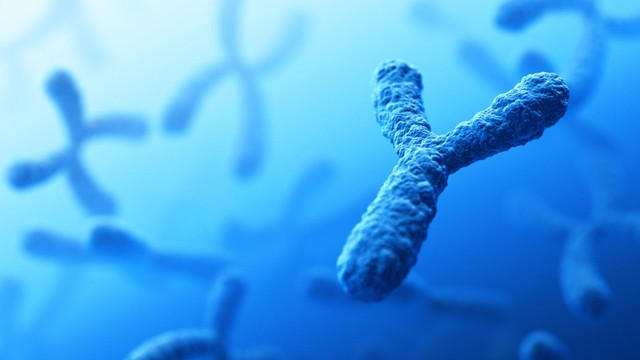 Xét nghiệm gen AZF là gì? Khi nào nên thực hiện?