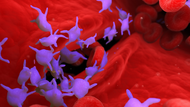 Xơ gan gây giảm tiểu cầu có nguy hiểm không? Dấu hiệu nhận biết và cách xử trí