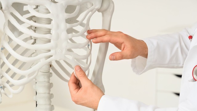 Xương sườn có bao nhiêu cái? Giải phẫu chi tiết xương sườn