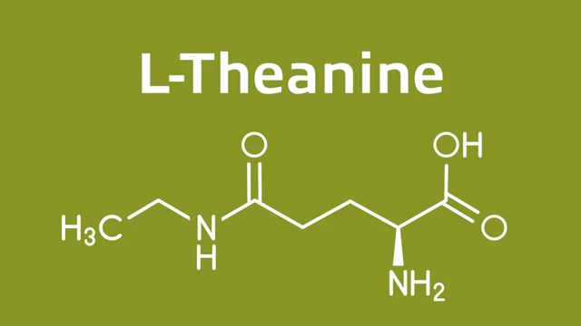 L-Theanine có lợi ích gì và có trong thực phẩm nào?
