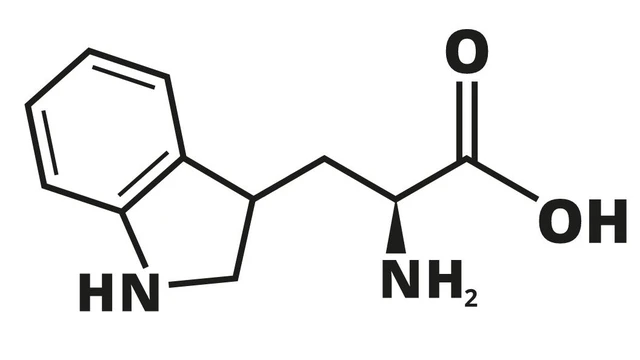 Lợi ích Tryptophan đối với sức khoẻ có thể bạn chưa biết