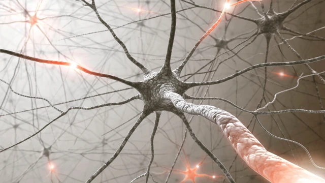 Viêm đa rễ dây thần kinh là gì? Những vấn đề cần biết về viêm đa rễ dây thần kinh