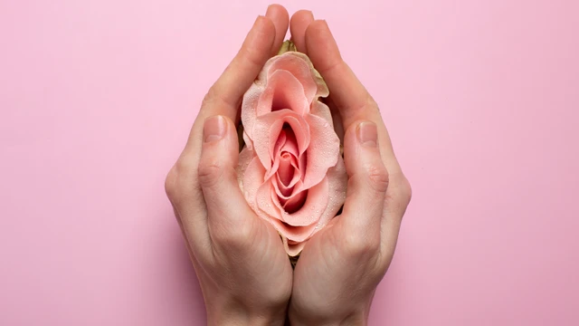 Âm hộ: Cấu tạo, chức năng và những vấn đề thường gặp
