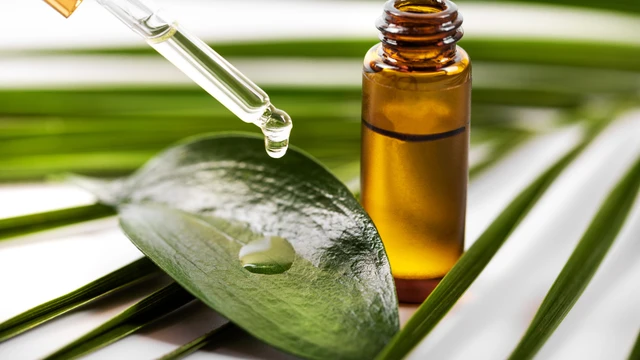 Bà bầu có được dùng dầu tràm không? Lợi ích của dầu tràm đối với phụ nữ mang thai