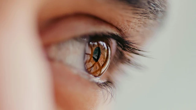 Hội chứng Sjogren là gì? Nguyên nhân, triệu chứng và cách điều trị