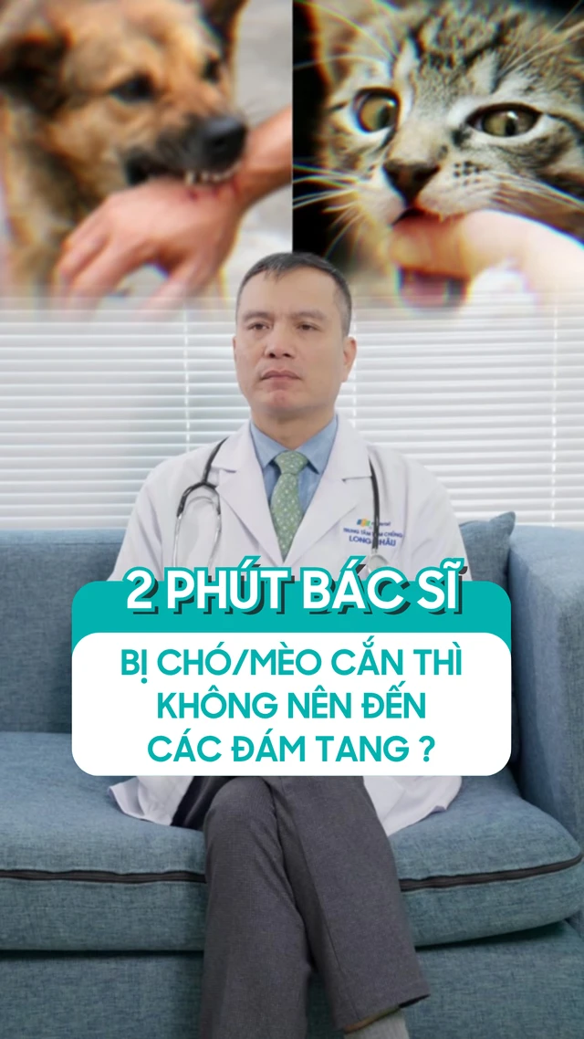 bi_chomeo_can_thi_khong_nen_den_cac_dam_tang_9e166caa0d