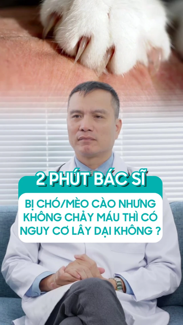bi_chomeo_cao_nhung_khong_chay_mau_thi_co_nguy_co_lay_dai_khong_af444fece7