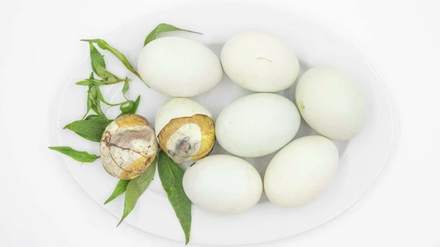 Bị ho có ăn được trứng vịt lộn không? Ăn sao cho an toàn?