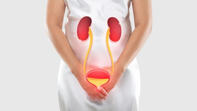 Biến chứng tán sỏi nội soi ngược dòng thường gặp là gì?