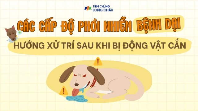 Các cấp độ phơi nhiễm bệnh dại và hướng xử trí sau khi bị động vật cắn