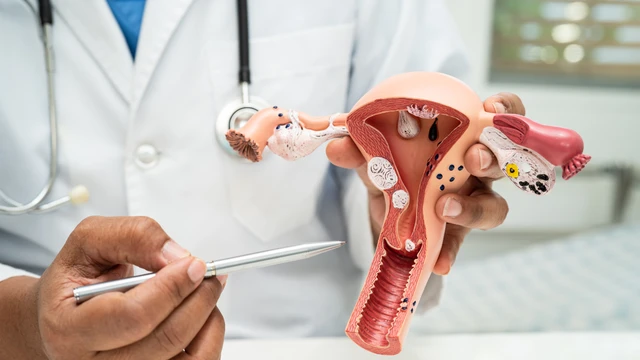 Cách kiểm tra sa tử cung: 7 phương pháp phát hiện sớm cho phụ nữ