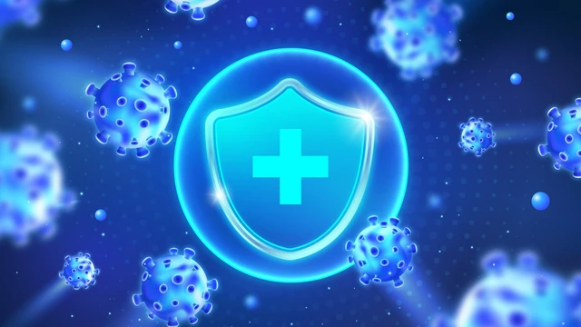 Cách phòng virus Hanta hiệu quả theo khuyến cáo y tế