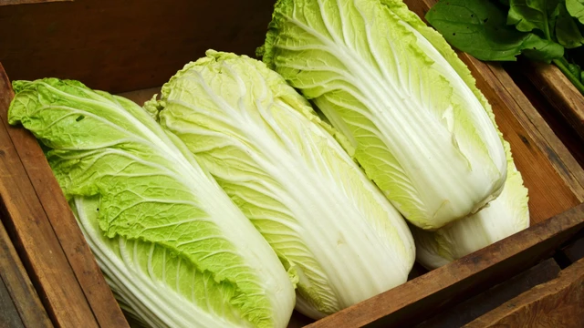 Cải thảo ăn sống được không? Giá trị dinh dưỡng của cải thảo
