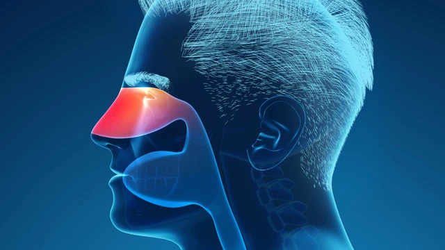 Cắt polyp mũi ở đâu? Những điều cần biết khi chọn cơ sở phẫu thuật uy tín