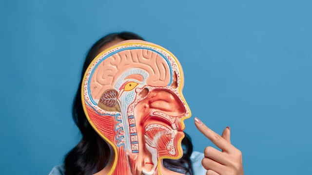 Chảy máu cam ở trẻ là gì? Triệu chứng, nguyên nhân, phương pháp chẩn đoán và điều trị hiệu quả