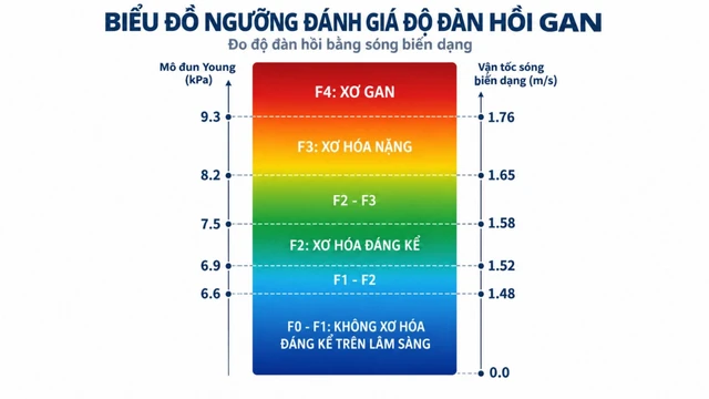 chi_so_dan_hoi_mo_gan_kpa_la_gi_cach_doc_ket_qua_fibroscan_1_88680002c6