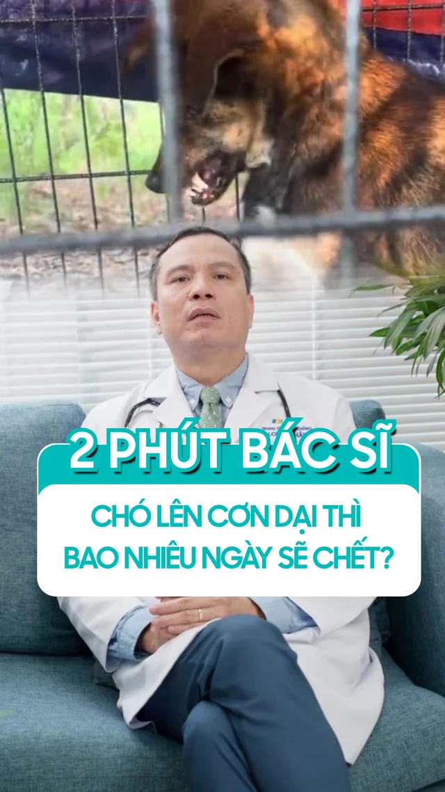 cho_len_con_dai_thi_bao_nhieu_ngay_se_chet_5b26e09b5f